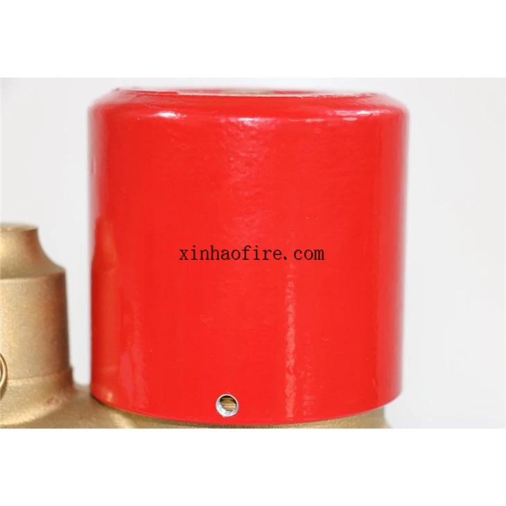 Tamper Proof Brass Hydrant